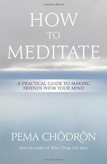 How to Meditate: A Practical Guide to Making Friends with Your Mind