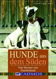 Hunde aus dem Süden: Vom Streuner zum Familienhund