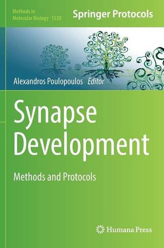 Synapse Development: Methods and Protocols (Methods in Molecular Biology)