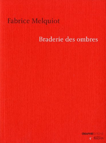 Braderie Des Ombres (paysages écrits)