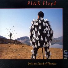 Delicate Sound of Thunder von Pink Floyd | CD | Zustand gut