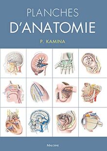 Planches D'anatomie (Planches D Anatomie F26.5X38)