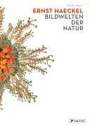 Ernst Haeckel: Bildwelten der Natur