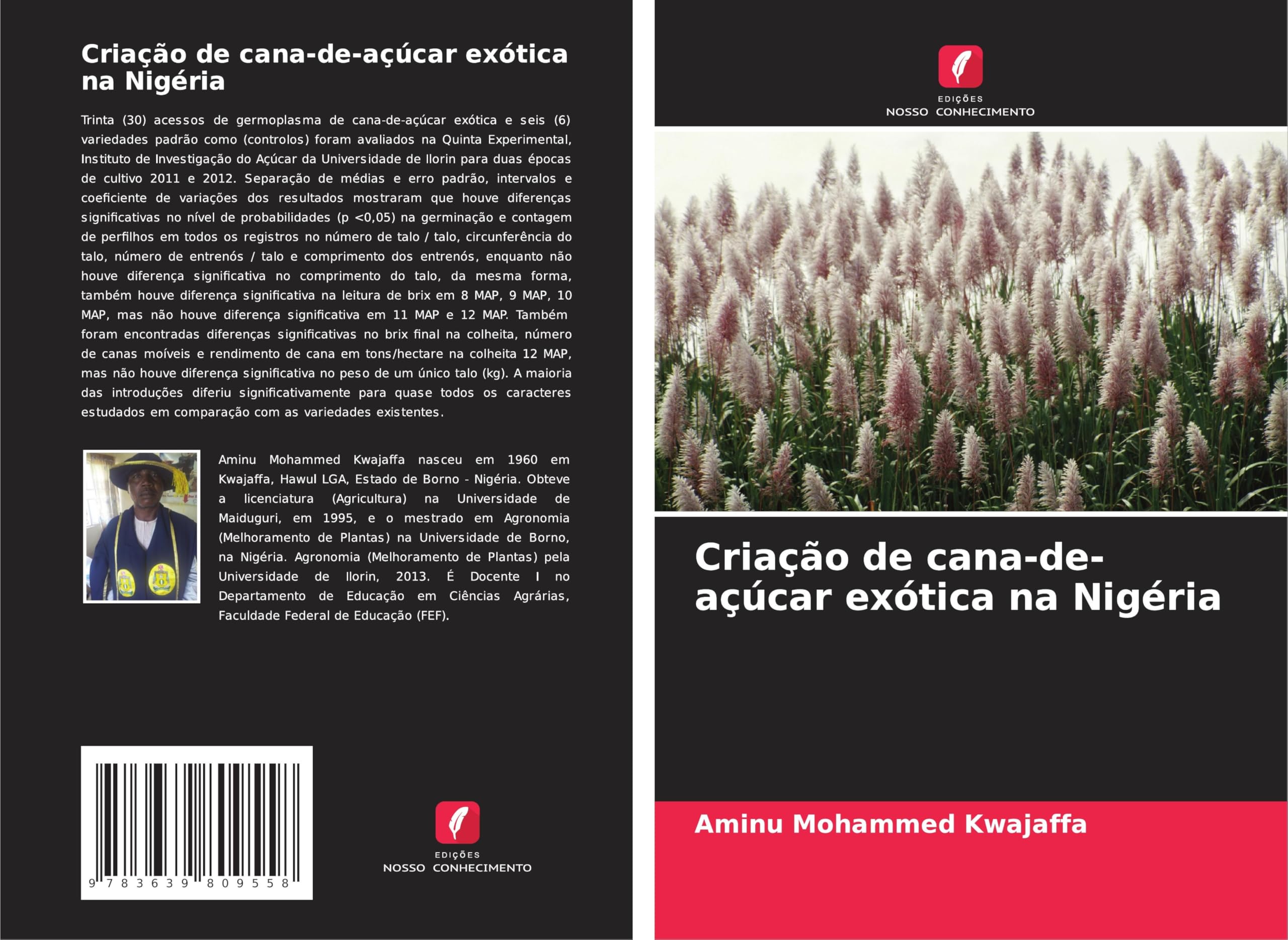 Criação de cana-de-açúcar exótica na Nigéria