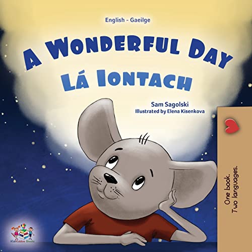 A Wonderful Day (English Irish Bilingual Children's Book) (English Irish Bilingual Collection)