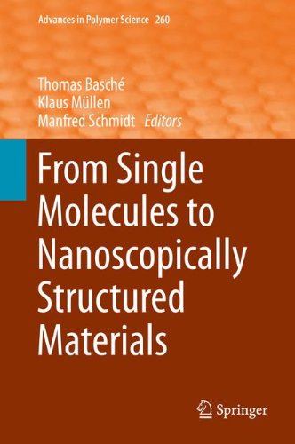 From Single Molecules to Nanoscopically Structured Materials (Advances in Polymer Science)