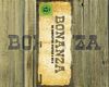 Bonanza - Die kompletten Staffeln 8 bis 14 (51 Discs)