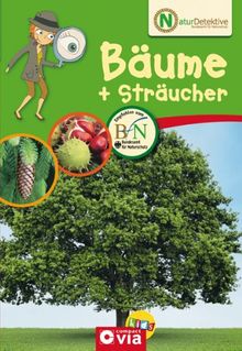 Naturdetektive: Bäume und Sträucher. Wissen und Beschäftigung für kleine Naturforscher ab 6 Jahren