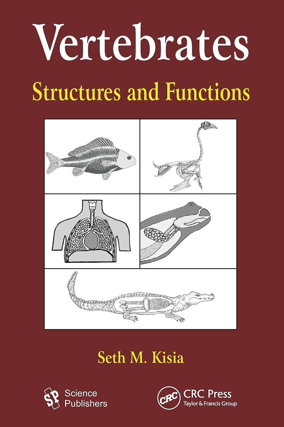 Vertebrates: Structures and Functions (Biological Systems in Vertebrates, 5, Band 5)