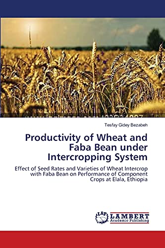 Productivity of Wheat and Faba Bean under Intercropping System: Effect of Seed Rates and Varieties of Wheat Intercrop with Faba Bean on Performance of Component Crops at Elala, Ethiopia