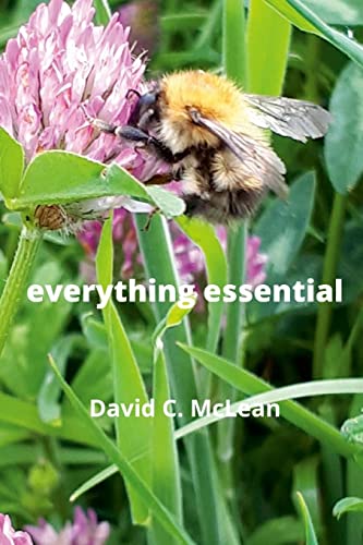 everything essential