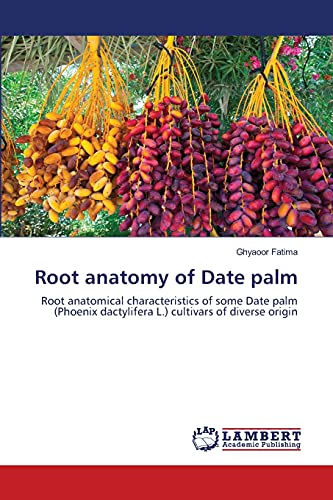 Root anatomy of Date palm: Root anatomical characteristics of some Date palm (Phoenix dactylifera L.) cultivars of diverse origin