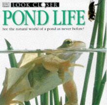 Pond Life (Look Closer)