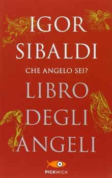 Libro degli angeli