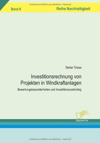 Investitionsrechnung von Projekten in Windkraftanlagen: Bewertungsbesonderheiten und Investitionscontrolling