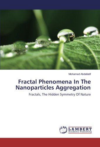 Fractal Phenomena In The Nanoparticles Aggregation: Fractals, The Hidden Symmetry Of Nature