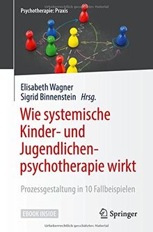 Wie systemische Kinder- und Jugendlichenpsychotherapie wirkt: Prozessgestaltung in 10 Fallbeispielen (Psychotherapie: Praxis)