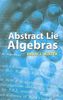 Abstract Lie Algebras (Dover Books on Mathematics)
