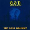 The Last Banshee