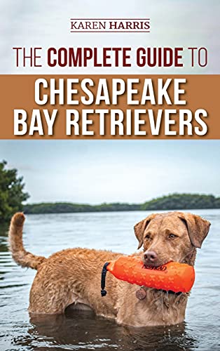 The Complete Guide to Chesapeake Bay Retrievers: Training, Socializing, Feeding, Exercising, Caring for, and Loving Your New Chessie Puppy