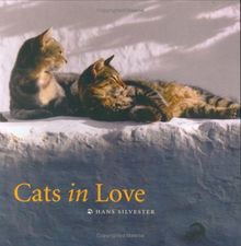 Cats in Love