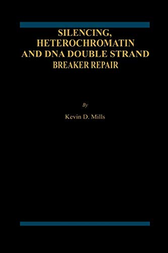 Silencing, Heterochromatin and DNA Double Strand Break Repair