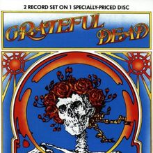 Grateful Dead(Skull & Roses)