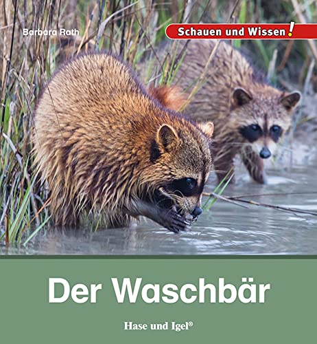 Der Waschbär: Schauen und Wissen!
