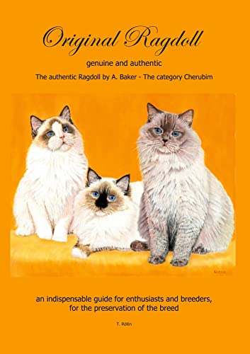 Original Ragdoll: genuine and authentic