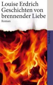 Geschichten von brennender Liebe: Roman (suhrkamp taschenbuch)