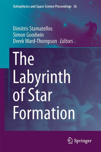 The Labyrinth of Star Formation (Astrophysics and Space Science Proceedings)