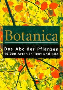 Botanica. Das Abc der Pflanzen. 10000 Arten in Text und Bild von Cheers, Gordon | Buch | Zustand gut