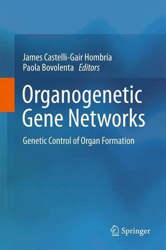Organogenetic Gene Networks: Genetic Control of Organ Formation