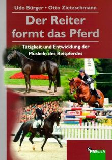 Der Reiter formt das Pferd: Tätigkeit und Entwicklung der Muskeln des Reitpferdes