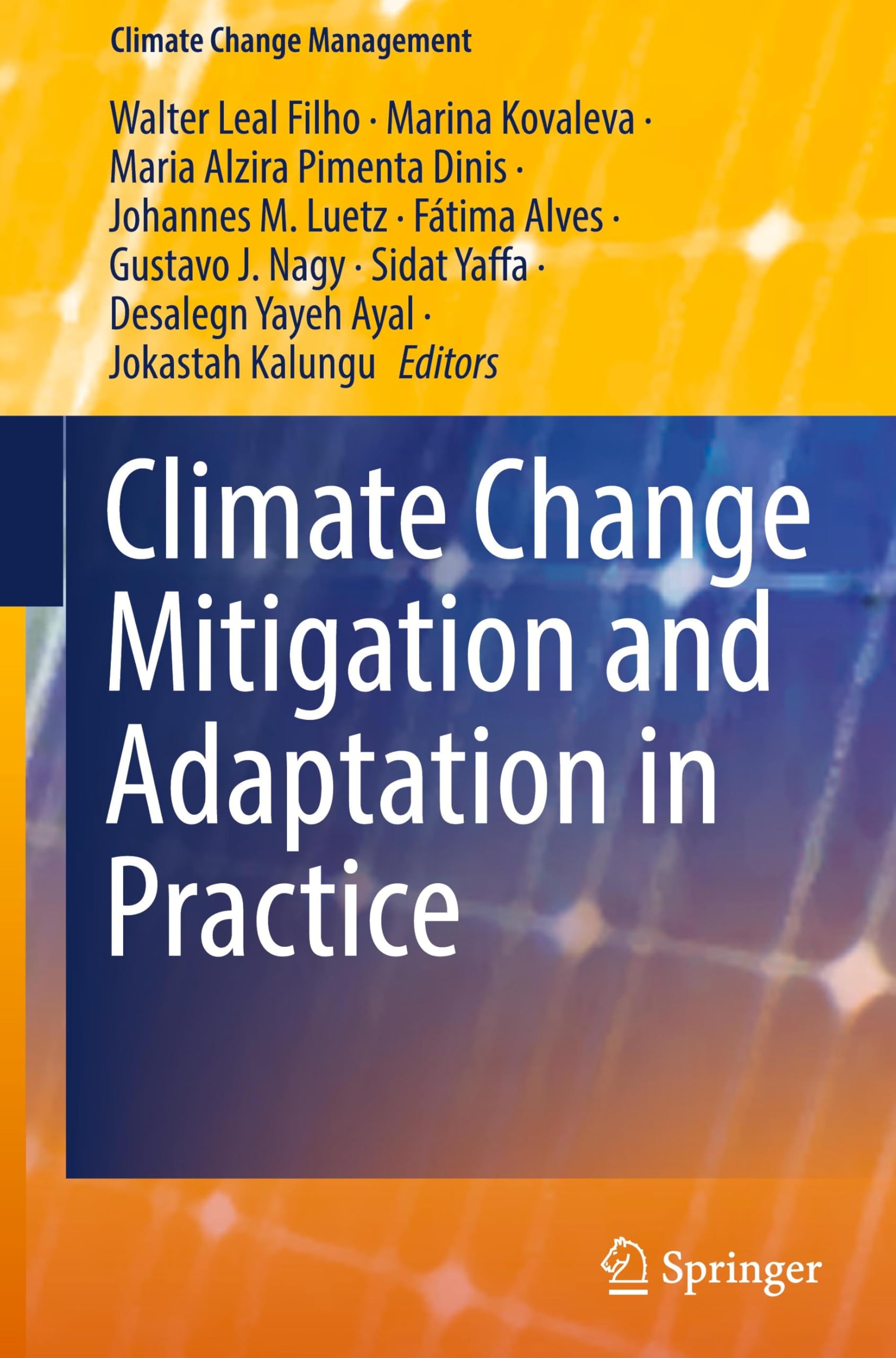 Climate Change Mitigation and Adaptation in Practice (Climate Change Management)