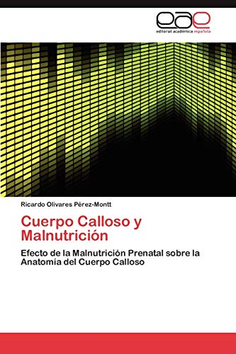 Cuerpo Calloso y Malnutrición: Efecto de la Malnutrición Prenatal sobre la Anatomía del Cuerpo Calloso