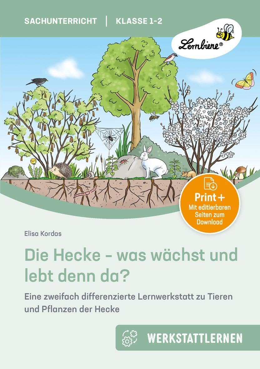 Die Hecke - was wächst und lebt denn da: Eine zweifach differenzierte Lernwerkstatt zu Tieren und Pflanzen der Hecke (1. und 2. Klasse)