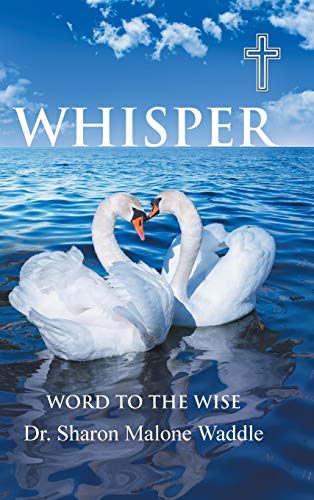 Whisper: Word to the Wise
