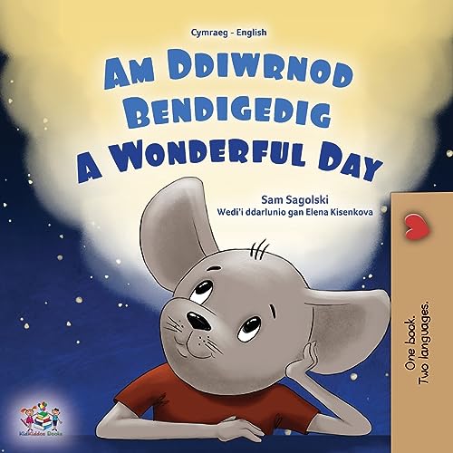 A Wonderful Day (Welsh English Bilingual Children's Book) (Welsh English Bilingual Collection)