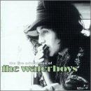 The Live Adventures Of The Waterboys