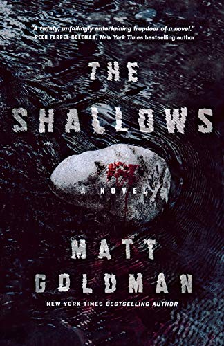 Shallows: A Nils Shapiro Novel (Nils Shapiro, 3, Band 3)