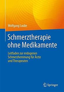 Schmerztherapie ohne Medikamente: Leitfaden zur endogenen Schmerzhemmung für Ärzte und Therapeuten