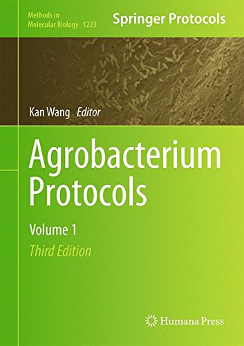Agrobacterium Protocols: Volume 1 (Methods in Molecular Biology)