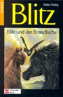 Blitz, Bd.8, Blitz und der Brandfuchs