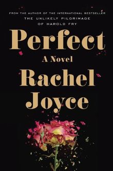 Perfect: A Novel