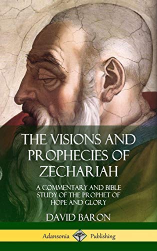 The Visions and Prophecies of Zechariah: A Commentary and Bible Study of the Prophet of Hope and Glory (Hardcover)