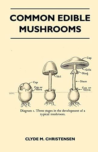 Common Edible Mushrooms