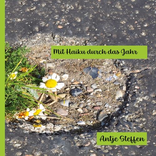 Mit Haiku durch das Jahr - Antje Steffen Kartoniert (TB)