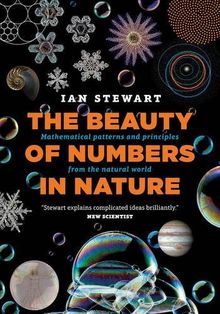 The Beauty of Numbers in Nature: Mathematical patterns and principles from the natural world