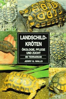 Landschildkröten